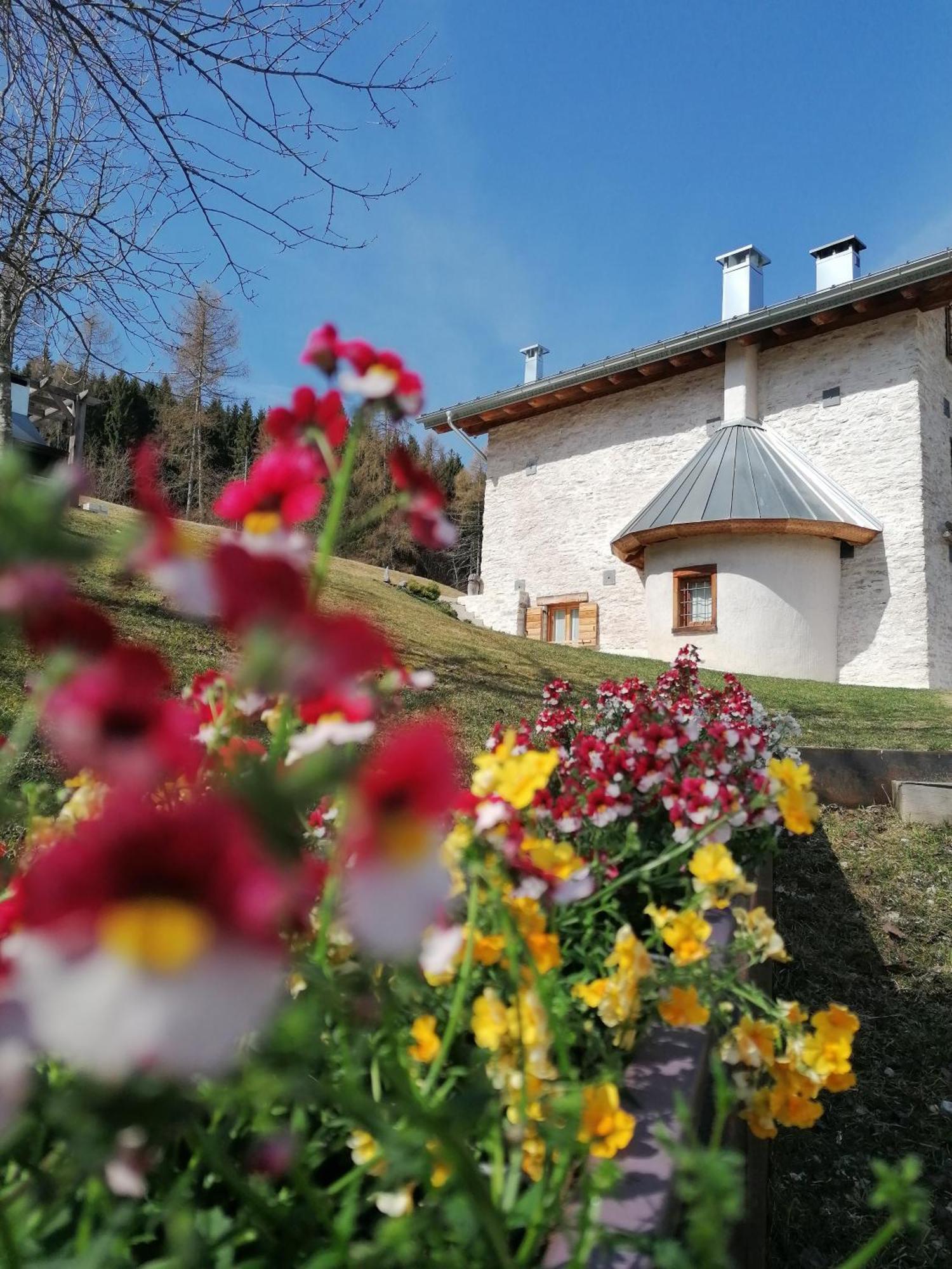 Maso Stella Villa Castello Tesino Exterior photo